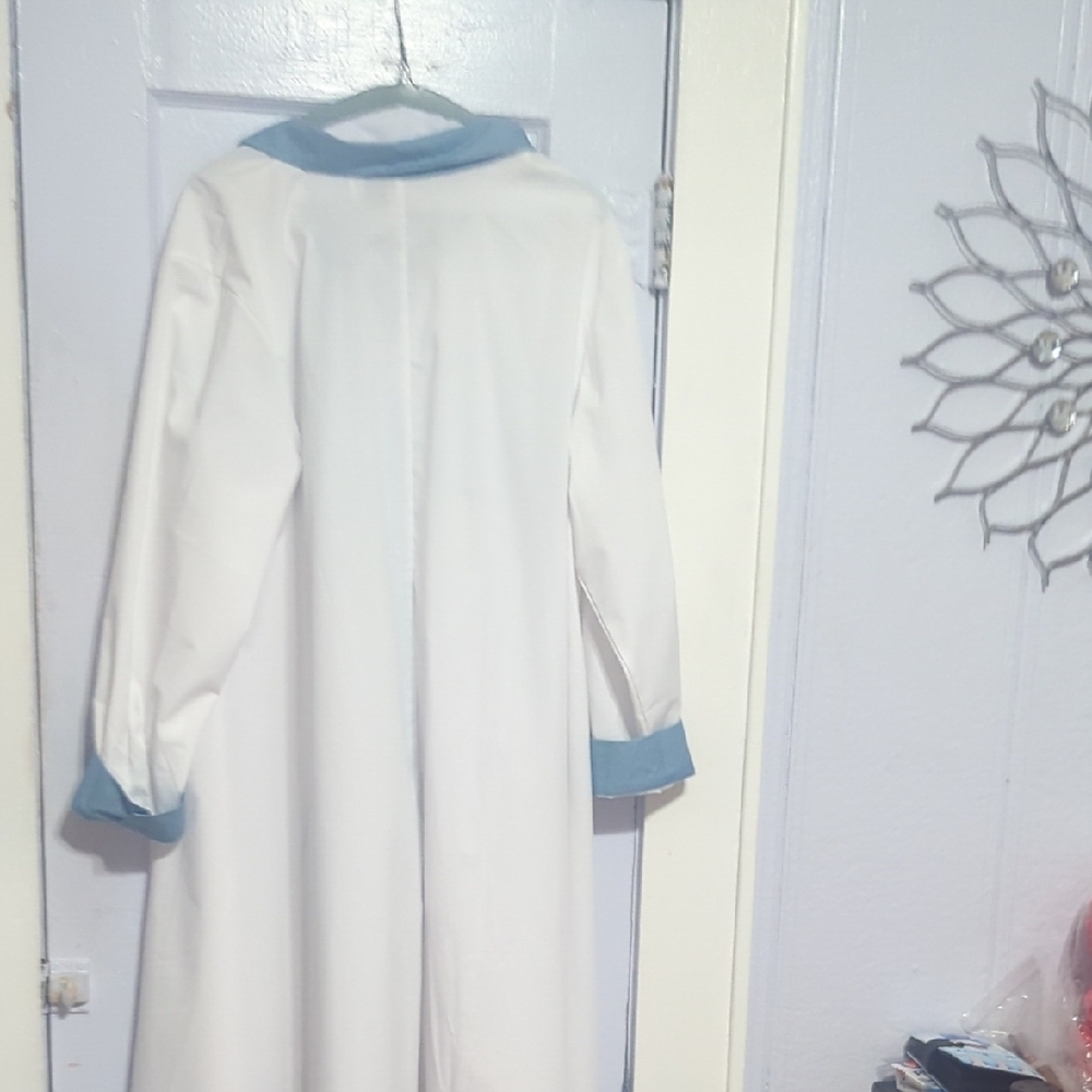 White and Blue Button-Up Shirt Dress - Picture 3 of 3